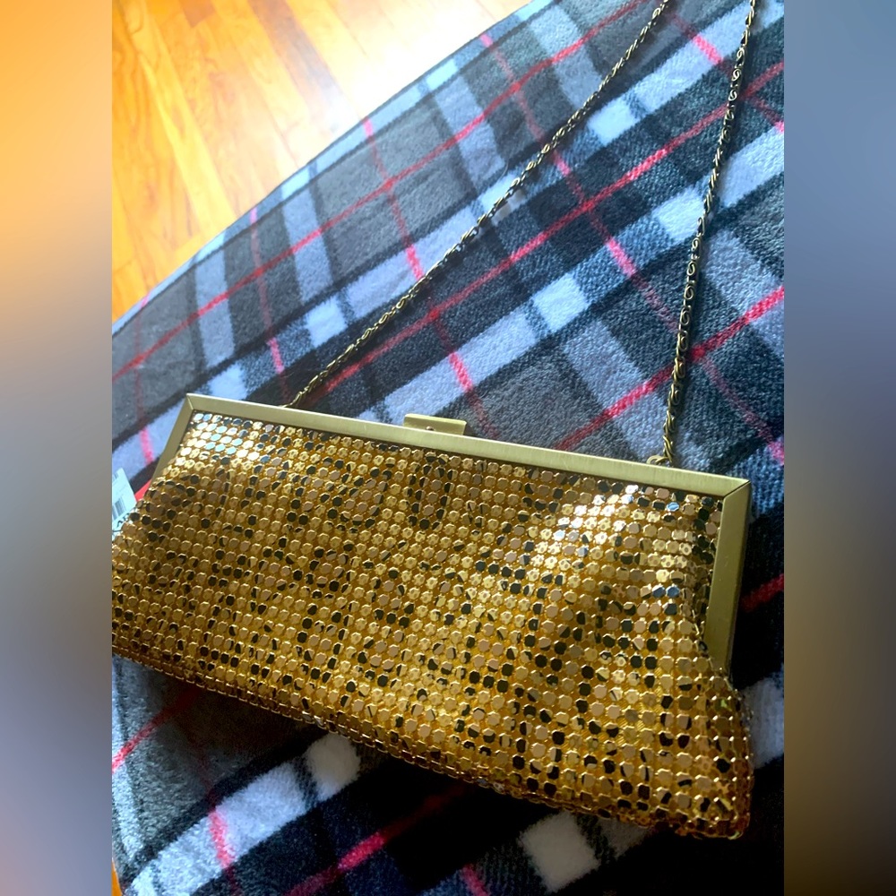 Evening metallic clutch with metallic string